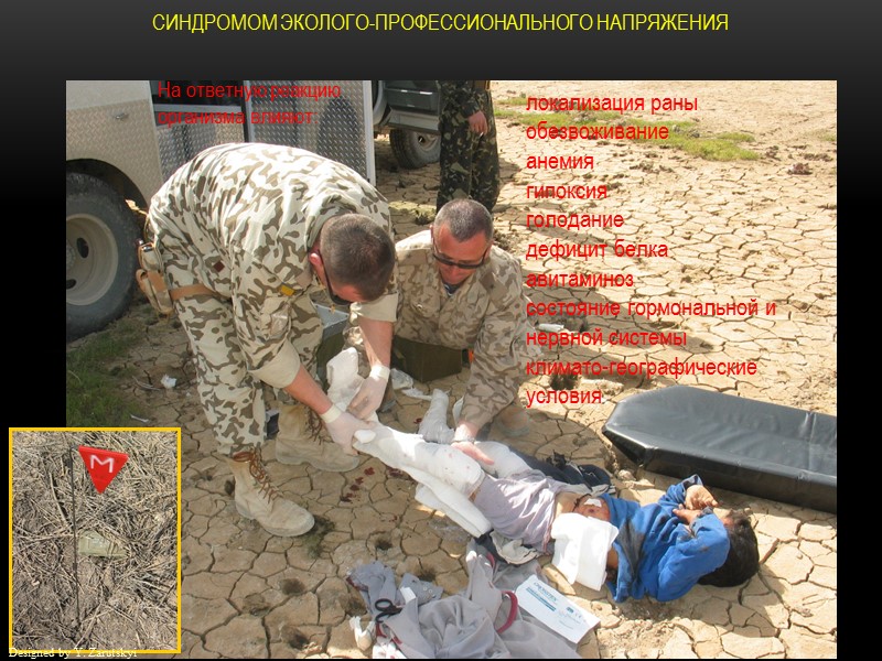 локализация раны  обезвоживание  анемия гипоксия  голодание   дефицит белка 